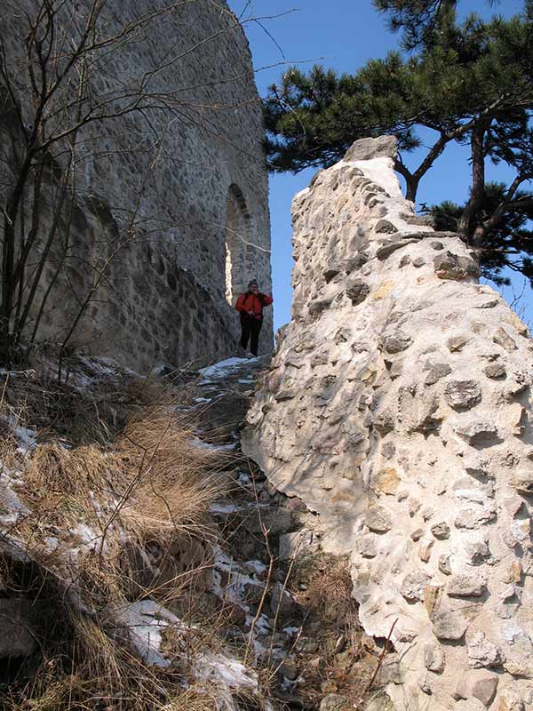 Burg Mödling